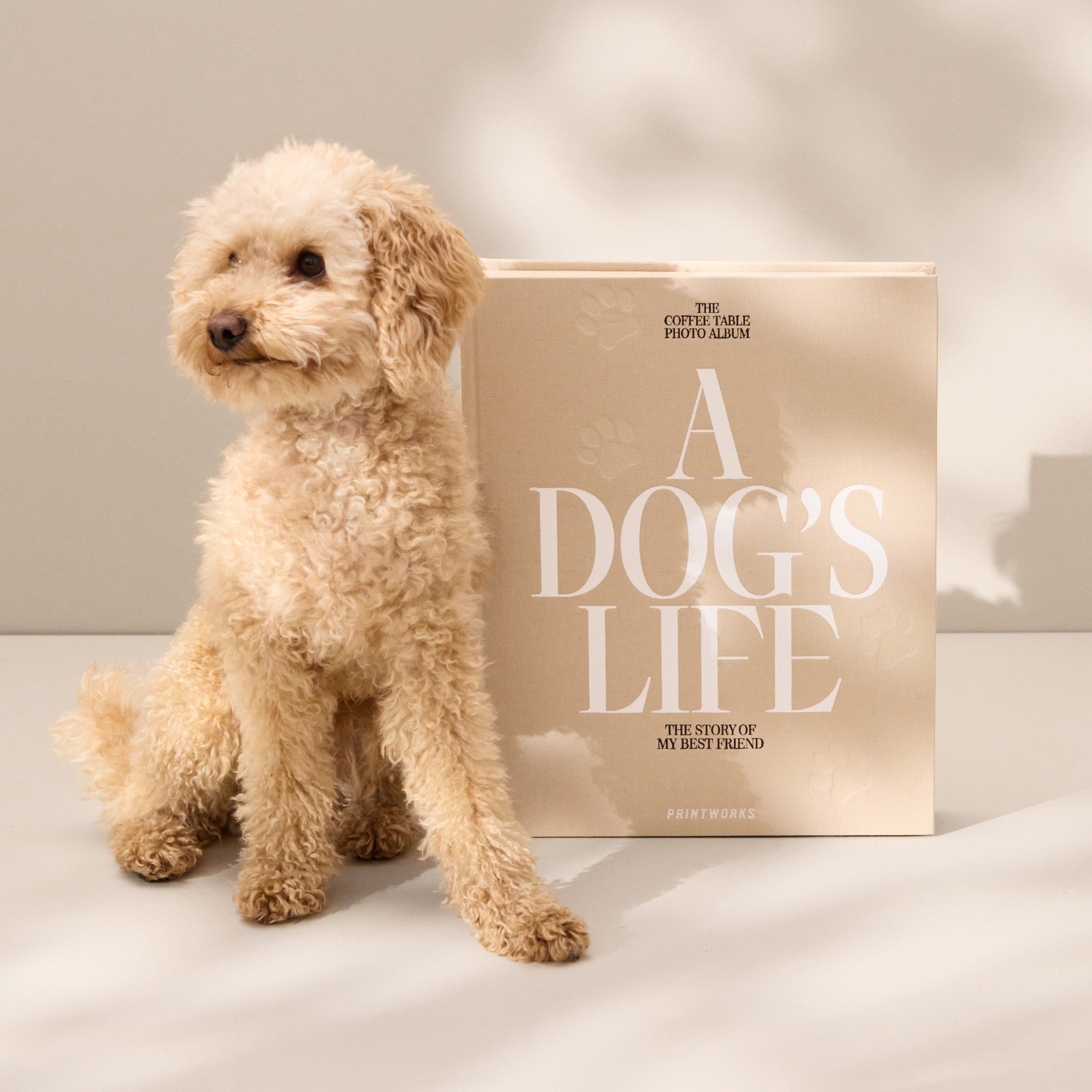 Lenox Everyday Flatware A Dog???s Life Photo Album - Image 3