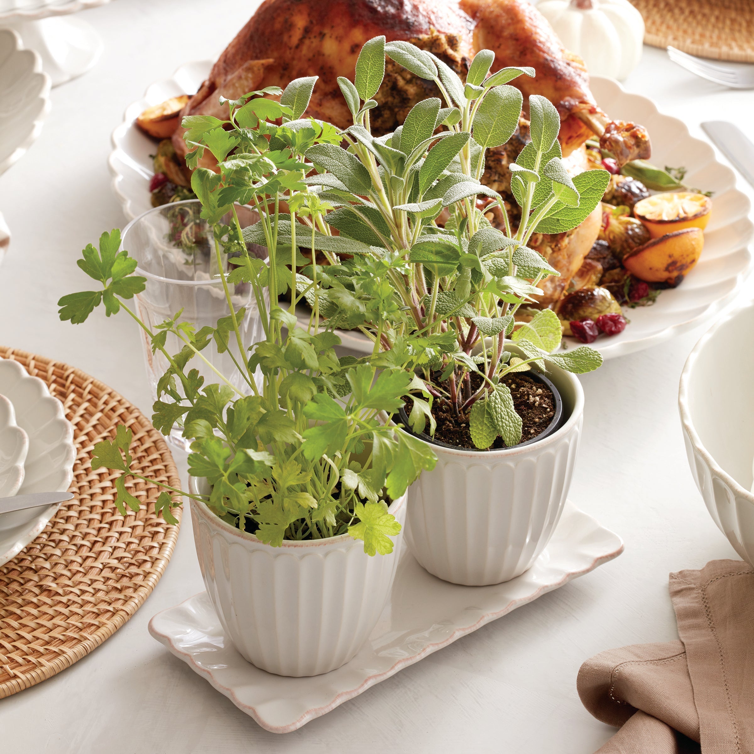 Lenox Everyday Flatware French Perle Scallop White 3-Piece Herb Pot Set - Image 5