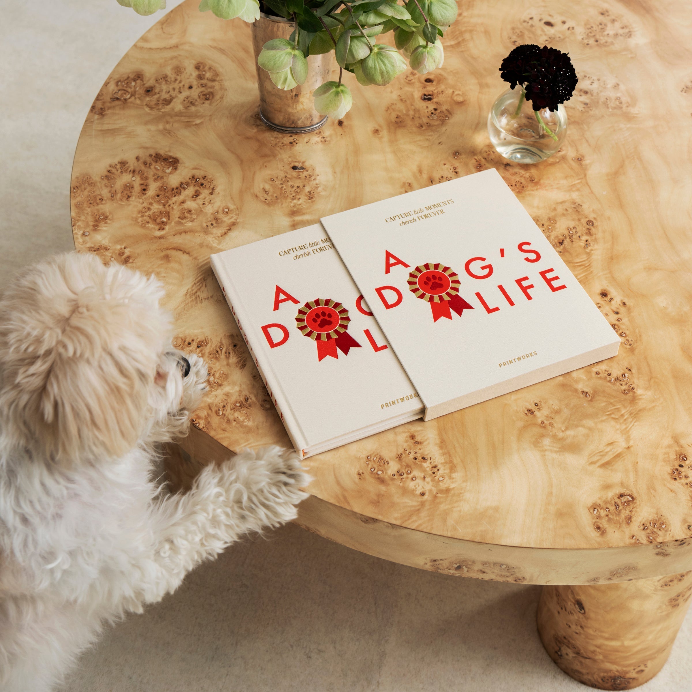 Lenox Everyday Flatware A Dog's Life Fill-In Journal - Image 4
