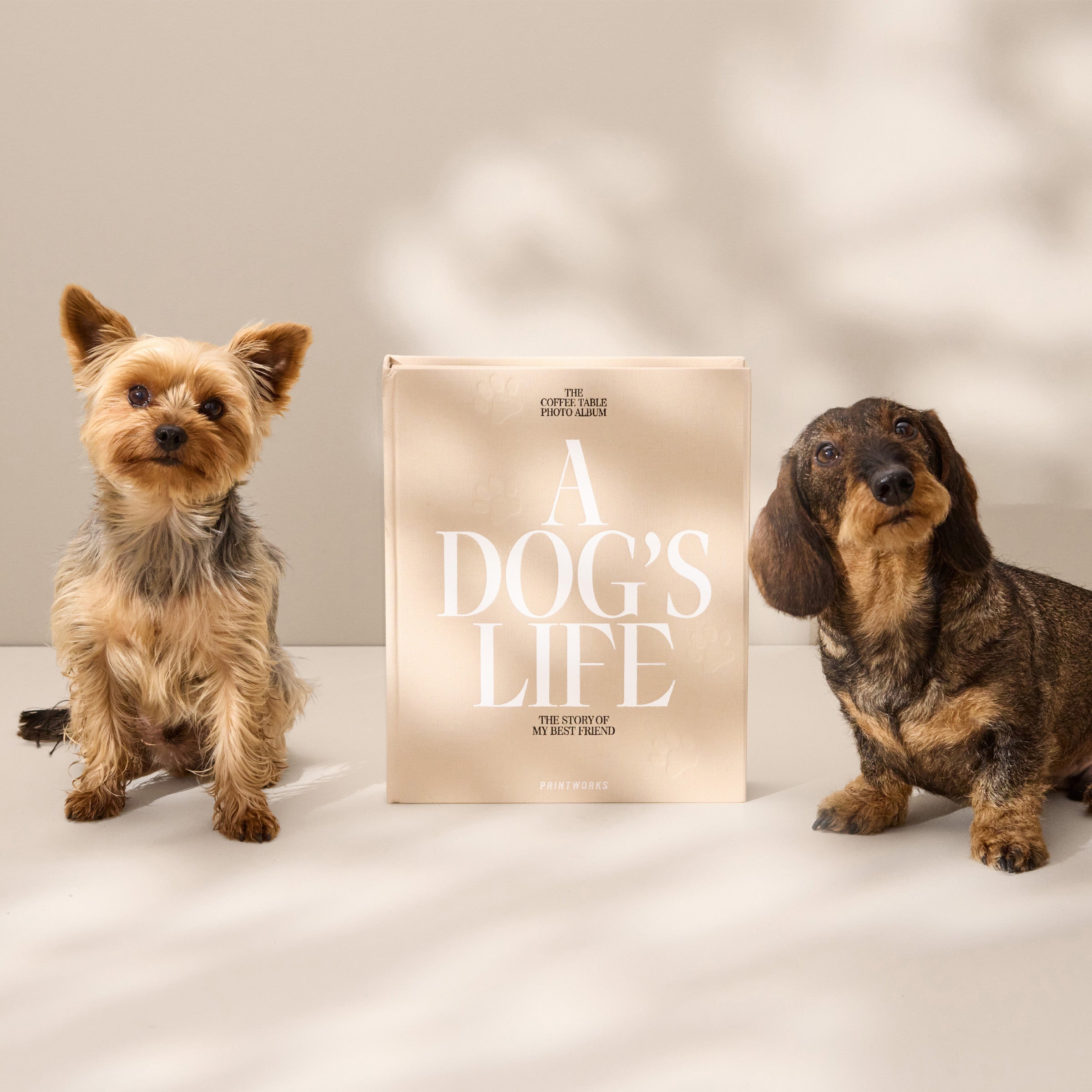 Lenox Everyday Flatware A Dog???s Life Photo Album - Image 4