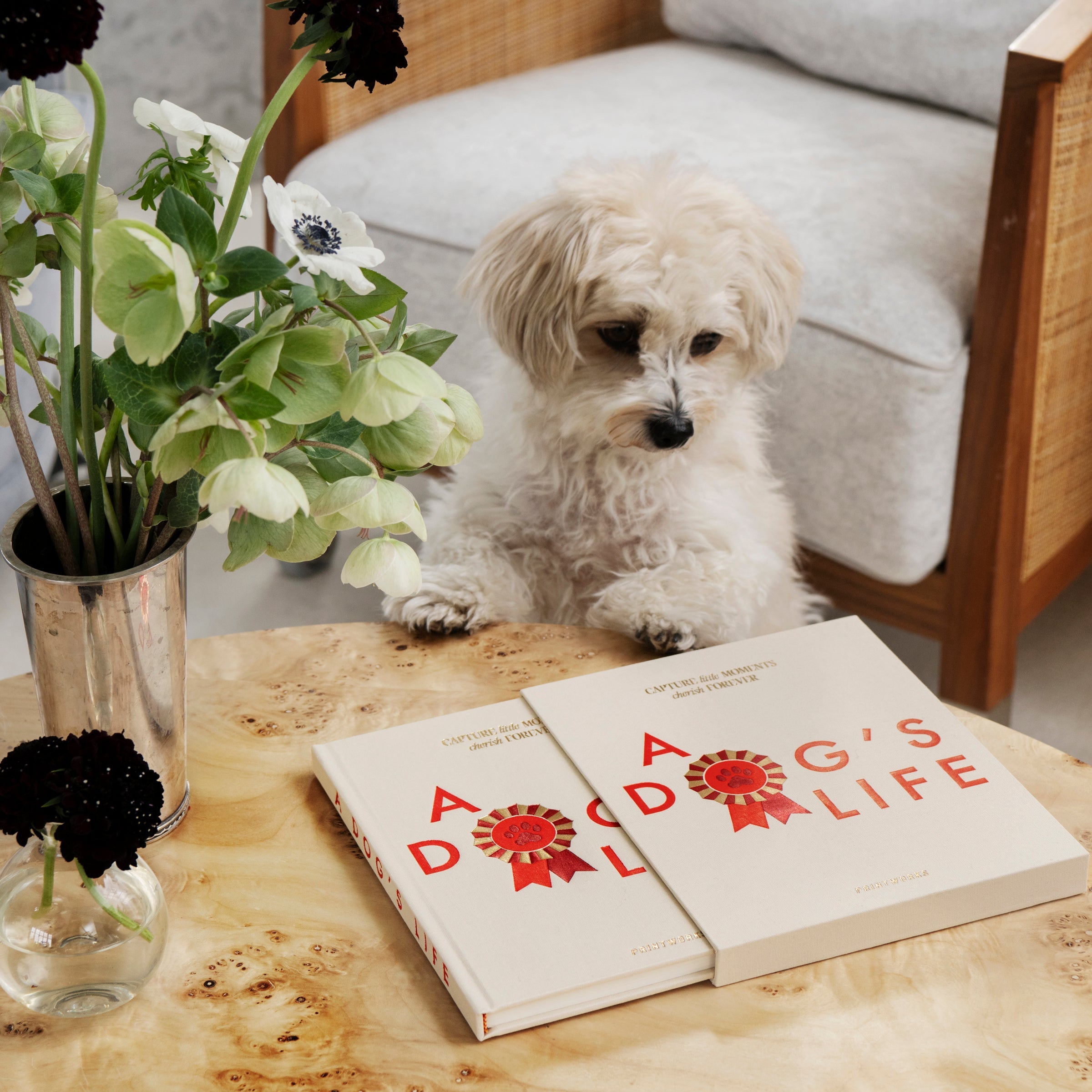 Lenox Everyday Flatware A Dog's Life Fill-In Journal - Image 5