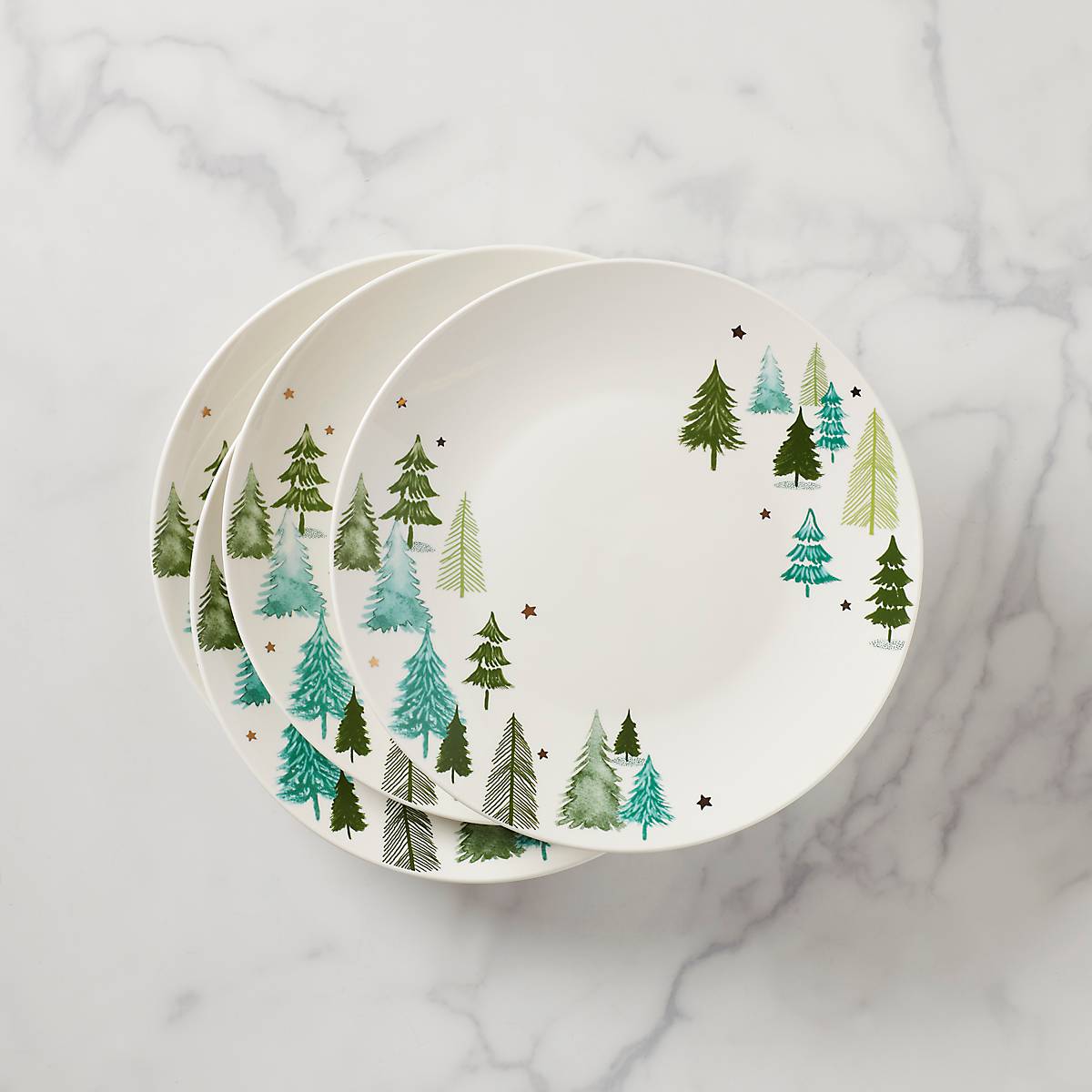 Lenox Everyday Flatware Balsam Lane Dinner Plates, Set of 4 - Image 4