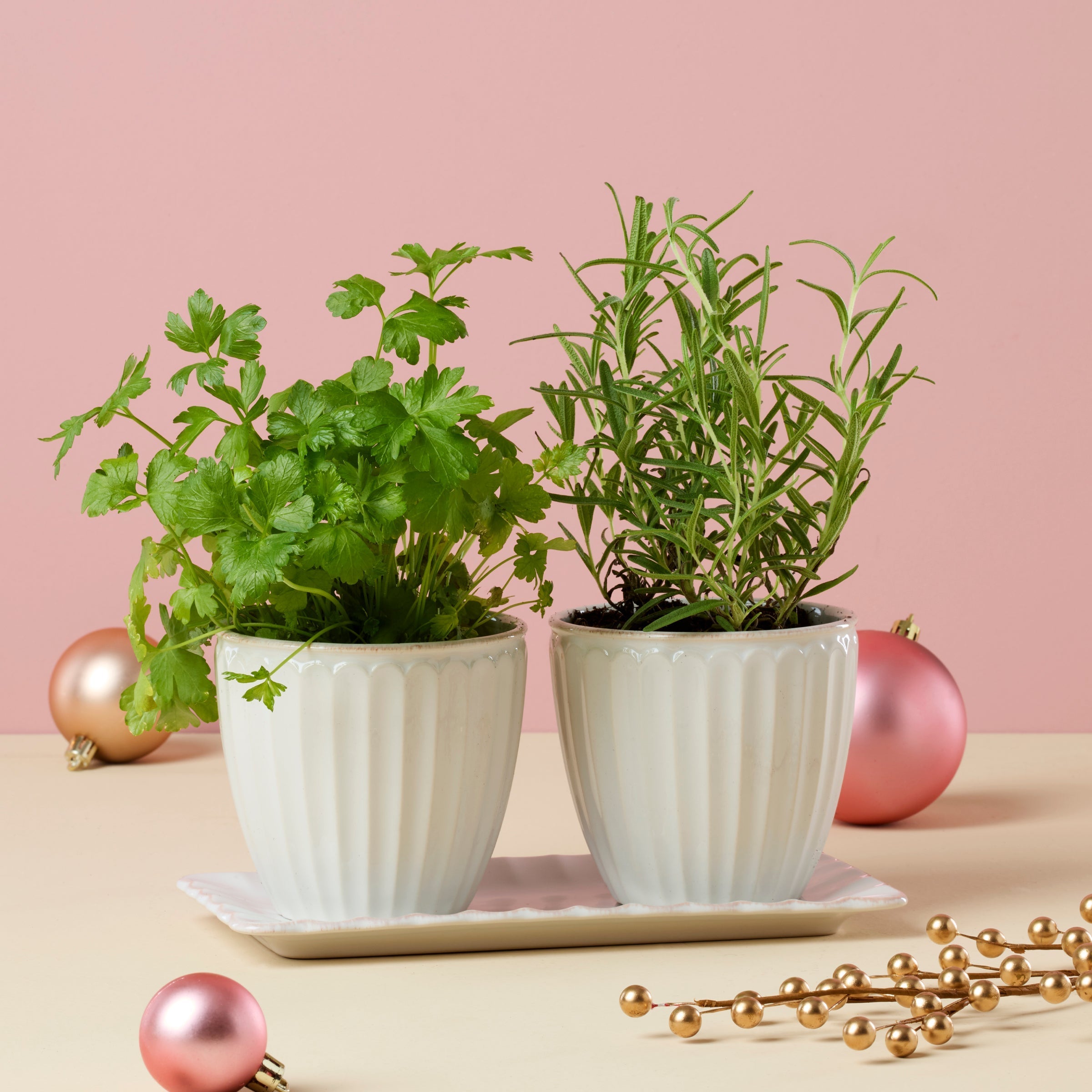 Lenox Everyday Flatware French Perle Scallop White 3-Piece Herb Pot Set - Image 4