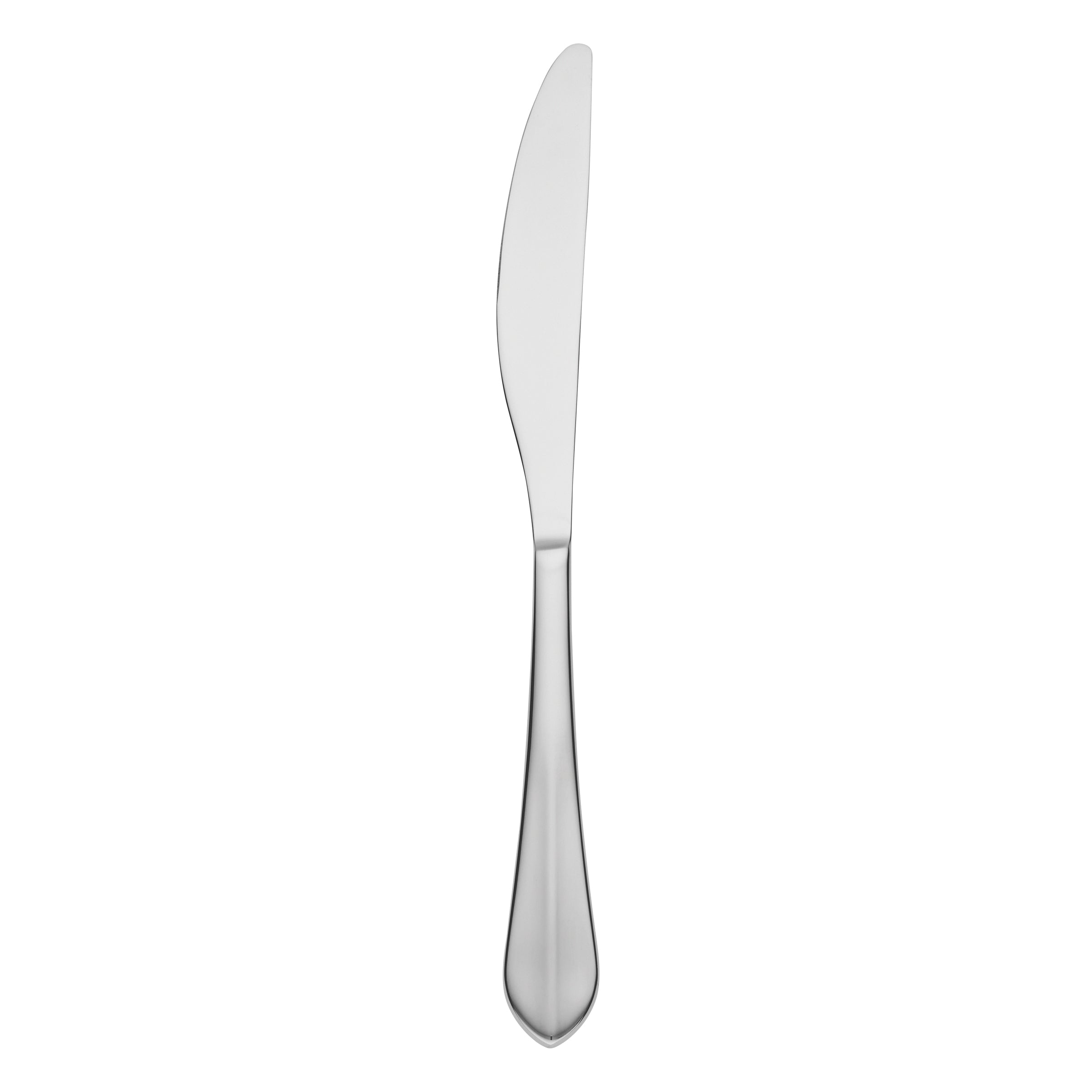 Lenox Everyday Flatware Greenpond Satin Dinner Knife