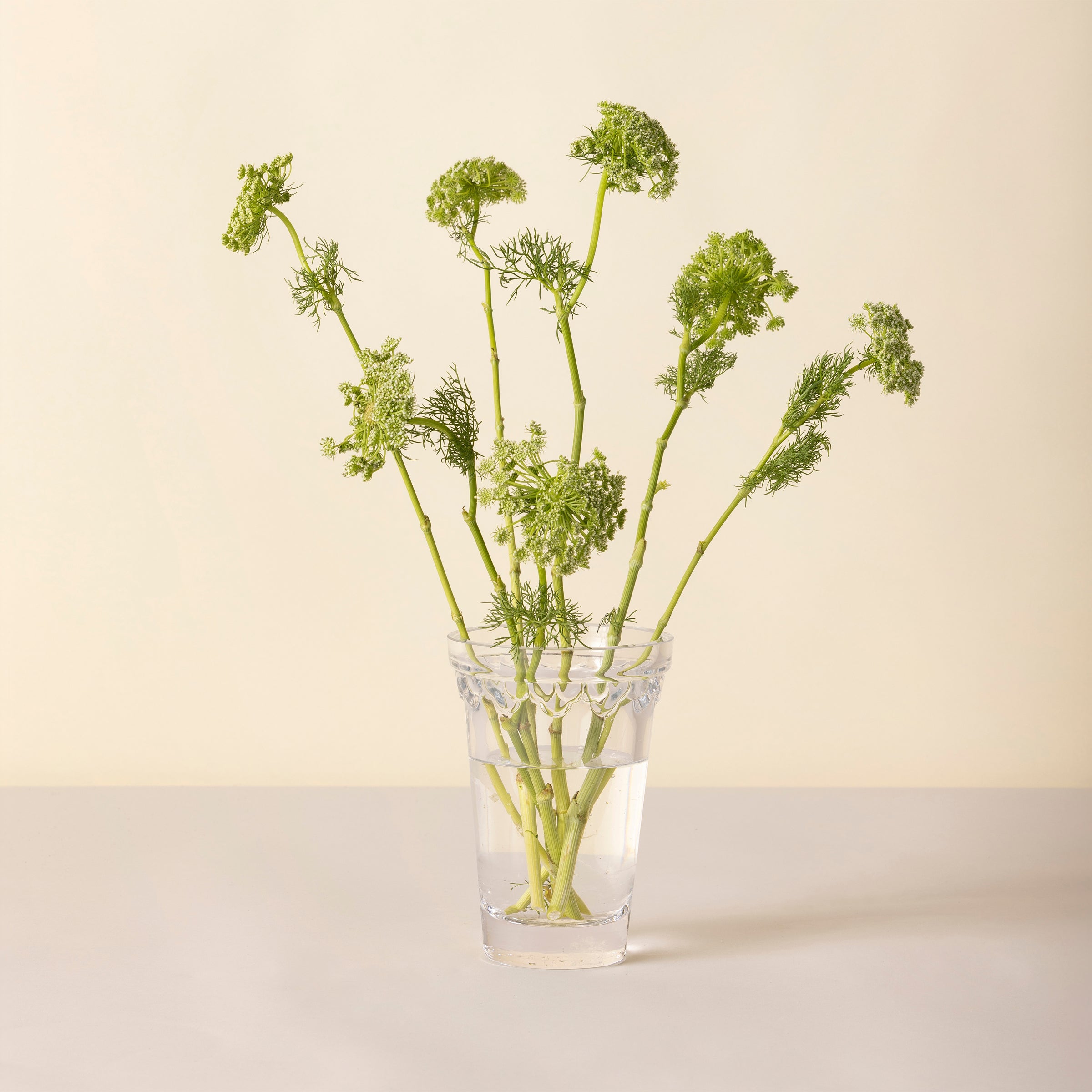 Lenox Everyday Flatware Kobenhavner Small Clear Glass Vase - Image 2